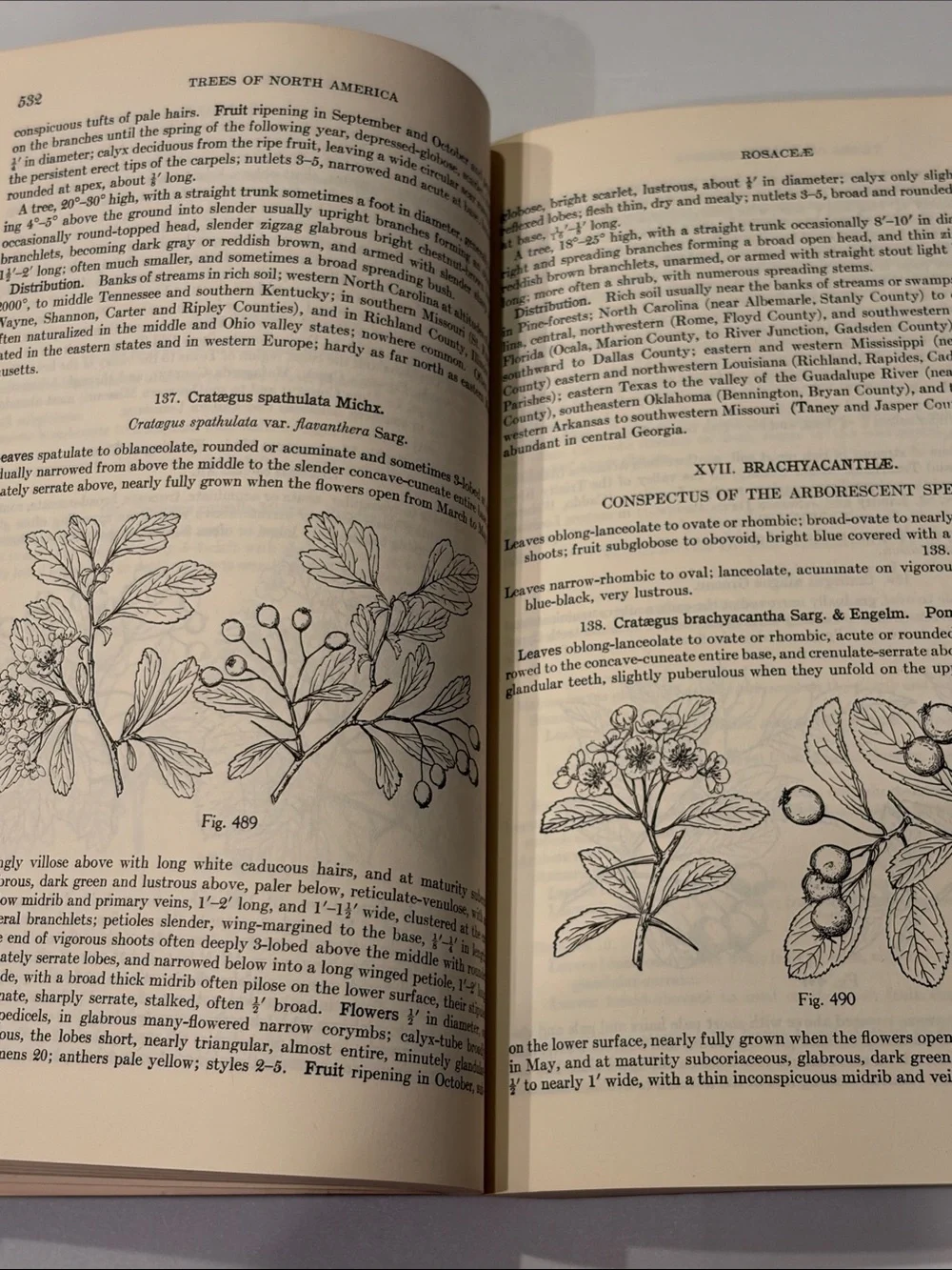 Vintage manual trees